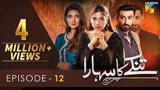 Tinkay Ka Sahara  Episode 12 𝐂𝐂   Sonya Hussain  Sami Khan  Rabab Hashim  12 Dec 22  HUM TV [upl. by Celisse817]