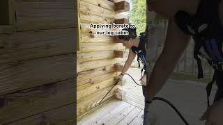 Applying borate to our log cabin to preserve the wood and prevent wood infesting insects [upl. by Antipus351]