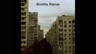 Tristitia Nigrum  Useless 2024 [upl. by Nowahs]