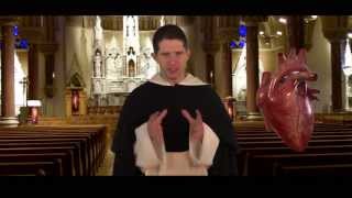 Harry Potter and the Catholic Faith  Video 15  quotHappiness and Holinessquot [upl. by Nosreme]