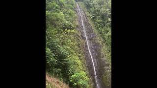 Manoa Falls  shorts explore travel nature waterfall adventure oahu hawaii island hiking [upl. by Elyag]