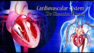 Cardiovascular system or The Heart Bangla  মানুষের হৃদপিন্ড  কিভাবে হার্ট কাজ করে  bangla medical [upl. by Chatterjee]