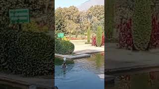 Nature video water beautiful park in Kashmir Srinagar dal lack short tranding nature viralshort [upl. by Enej]