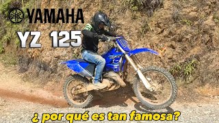 LA GENTE COMPRA LA YZ SOLO POR MODA  YAMAHA YZ 125 ¿POR QUE ES TAN FAMOSA [upl. by Lleirbag]