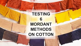 Testing 6 Mordant Methods on Cotton [upl. by Klein]