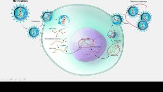 EXANIII  Microbiología  Curso Gratuito de Premedicina [upl. by Aimal]