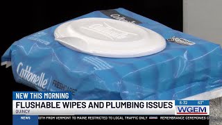 Flushable wipes and plumbing issues [upl. by Lyndell]