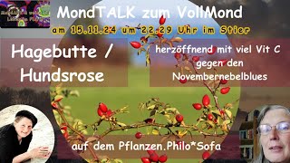 MondTalk zum Vollmond  Im Gespräch mit Nana Mara auf dem PflanzenPhiloSofa  Hagebutte Hundsrose [upl. by Koller]