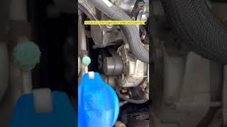 Hyundai Tucson 2017 Engine Sound at 80k  What Could it be automobile shortsvideo hyundai [upl. by Luo]