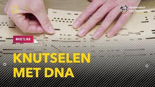 Knutselen met DNA  Het LAB  National Geographic [upl. by Ellenrad]