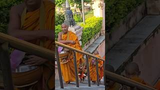 With younger monks and Guru Bodhgaya Biharshakyamunibuddha india shakyamunibiographyofbuddh563 [upl. by Niliak]