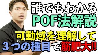 【POF法】誰でもわかるPOF法解説可動域を理解して3つの種目で筋肥大を狙え【解説】 [upl. by Rosena]