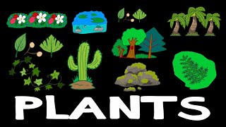 PLANTS  Learn plant names  Kids Learning Video  DINOJORDAN [upl. by Paten]