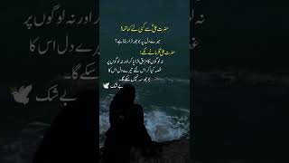 Urdu poetry video ❤️‍🩹🥀 poetry shorts quotes urdupoetry deeplines [upl. by Joela557]