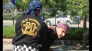 Pendekar Silat di New York  Liputan Feature VOA 21 Maret 2011 [upl. by Josefina]