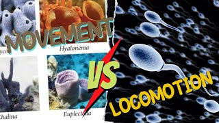 Difference Between Locomotion and Movement by Sir Zaid Iqbal thelearnersinn [upl. by Enida134]