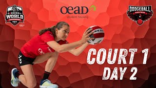 COURT 1  Day 2  Dodgeball World Championships [upl. by Radnaskela]