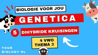 4 vwo  Genetica  5  Dihybride kruisingen [upl. by Mauchi]