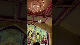 Serampore C A C club Durga Puja 2024vloggertriptichakraborty [upl. by Arhas]