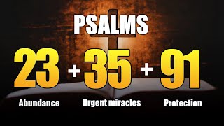 PSALMS 23 35 91  03 Powerful Prayers to Obtain Abundant Blessings and Divine Protection [upl. by Stila]