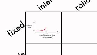 Learning Schedules of Reinforcement [upl. by Salbu]