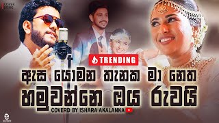 Asa yomana thanaka ma netha hamuwanne oba ruwai I ඇස යොමන තැනක I Coverd by Ishara Akalanka [upl. by Samid335]