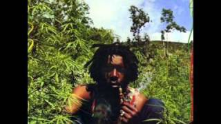 Peter Tosh  Why must I cry [upl. by Fechter]