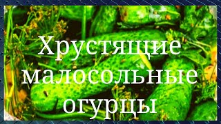 Хрустящие малосольные огурцы Очень просто быстро и вкусно GoodAppetite [upl. by Bein846]