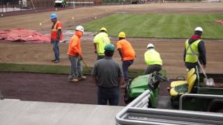 Crosscutters Baseball  Sod Installation Day 1 [upl. by Dnomad]