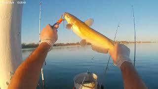 Kayak catfishing Waxhachie lake [upl. by Netsuj]