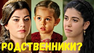 Актеры Родственники Великолепный Век [upl. by Nagar]