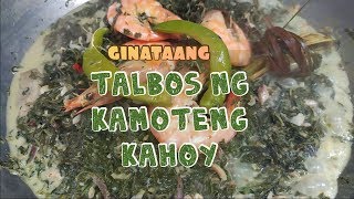 Ginataang Talbos ng Kamoteng Kahoy Lutong pinoy Lutong bicol [upl. by Nonnerb]