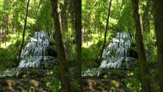 3D HD Relaxing Video  Magic Forest  yt3d Youtube 3D [upl. by Jung]