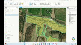 Create STPs Along Transects for Phase I Archaeology Using ArcGIS Pro [upl. by Demmy]