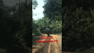 Estrada de Guaraqueçaba PR trending viralvideo passeio fyp viralshorts [upl. by Pardew]