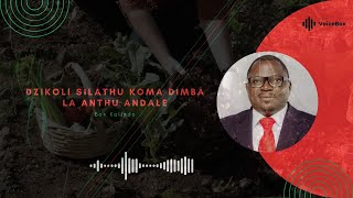 Dzikoli Silathu Koma Ndi Dimba La Anthu Andale Kuti Adziba Ndalama  Bon Kalindo [upl. by Akim429]