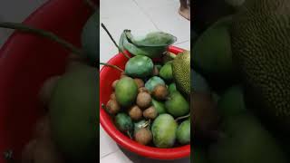 Arham er nana bari fruit 🍑🍑🍑arham cutebaby dhaka babyshar funny poetrypoem poem poetry [upl. by Oran]