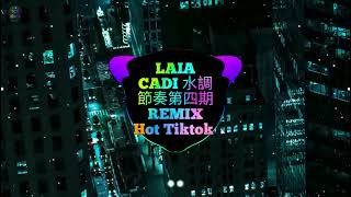 LAIA CADI 水調節奏第四期 DJ小G Remix Tiktok 2024 迷幻旋律 DJ抖音热播 Feira De Acari remix  越南鼓DJ抖音版 水調節奏第四期 流水調 [upl. by Dnallor]