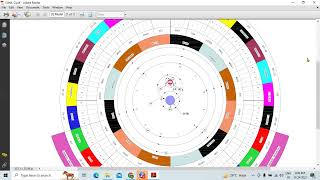 Nakshatra jyotish  Ketu nakshatra with Ashvini Magha and Moola [upl. by Francklyn]