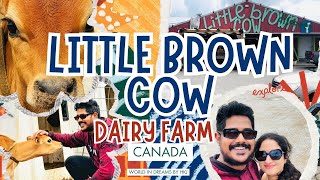 A Day at Little Brown cow Brantfords Farm to shelf Experience🇨🇦🐄❤️ [upl. by Artair675]