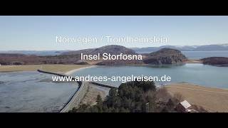 Norwegen Angelurlaub mit Andrees Angelreisen [upl. by Antoni]