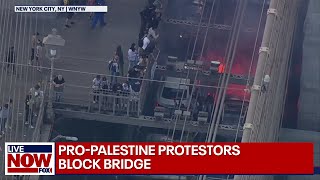 ProPalestinian protesters block traffic on Brooklyn Bridge  LiveNOW from FOX [upl. by Eceinej411]