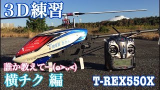 【３D練習 横チク編】TREX550Xは楽しい [upl. by Ardeha229]