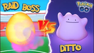 What Happens if you use DITTO Against a Raid Boss in Pokémon GO [upl. by Ellehsyt]