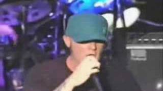 Limp Bizkit  My Way  Thieves Live at Webster Hall NY [upl. by Acirrehs]