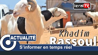 Tabaski 2019 A la découverte de la bergerie Khadim Rassoul spécialiste du mouton quotLadoumquot [upl. by Haniraz917]