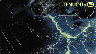 Tenuous amp Gemunji  Through The Night Official Audio [upl. by Ilram]