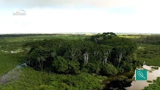 A préhistória da Amazônia e a história de Chico Mendes [upl. by Adnaloj35]