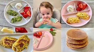 Freezer Friendly Baby Led Weaning Recipes – Prep Ahead [upl. by Algar]