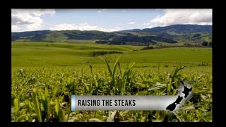 Country Calendar  Raising the Steaks  Kakahu Angus [upl. by Attennaej]